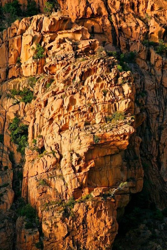 PIANA